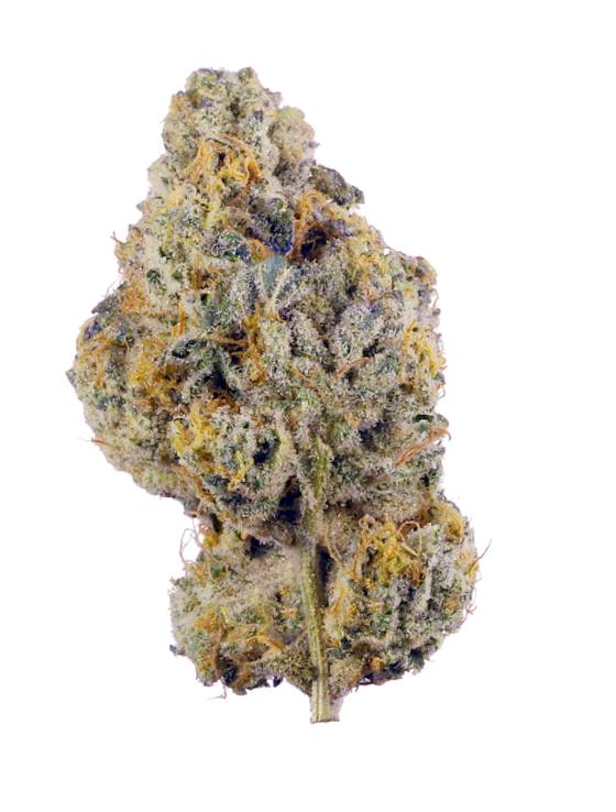 🇪🇸PANCAKE X OBAMA CALI SPAIN EXOTIC🇪🇸