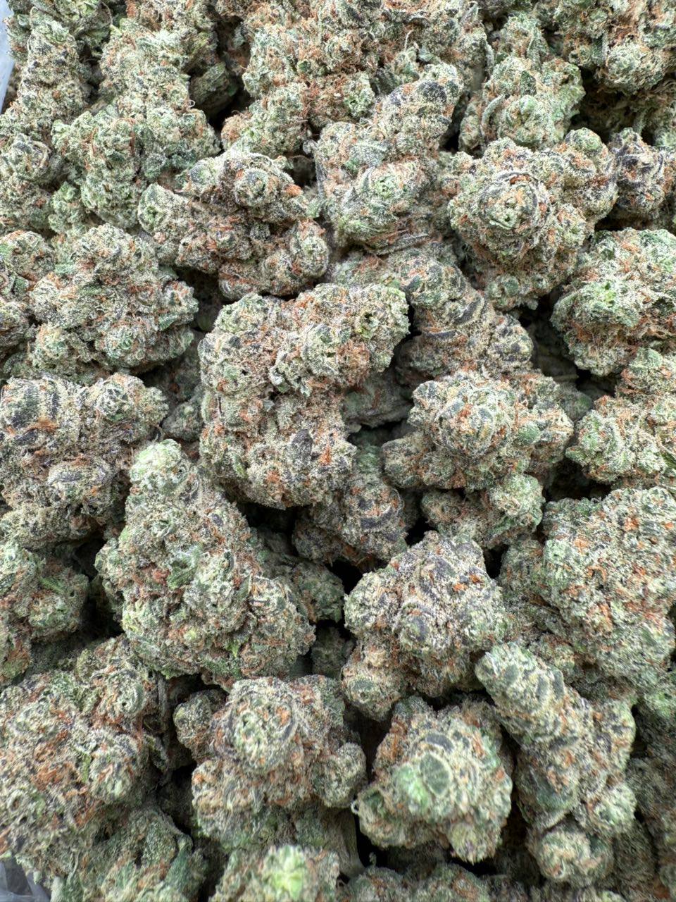 🇺🇸ASTRO CANDYZ REAL CALI USA🇺🇸